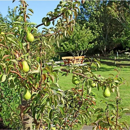 Casa vacanze Marisol Comfortable *